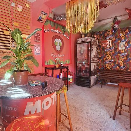 Red Monkey Hostel Barra Funda Sao Paulo Dış mekan fotoğraf